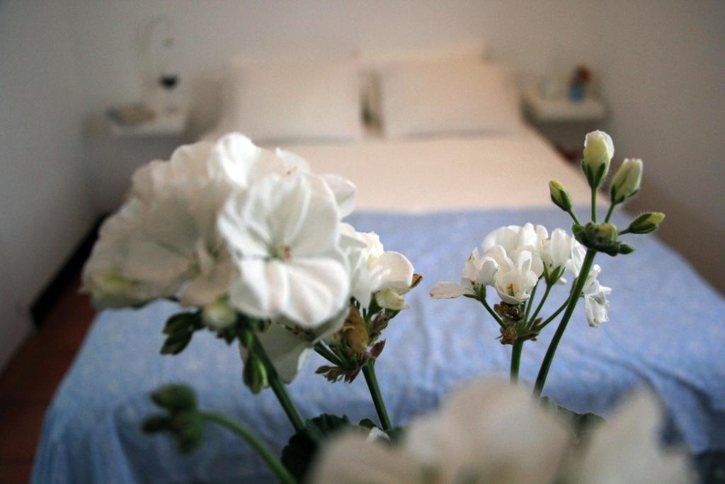 Bed and Breakfast A Casa Da Arvore à Vila Nova de Milfontes Chambre photo