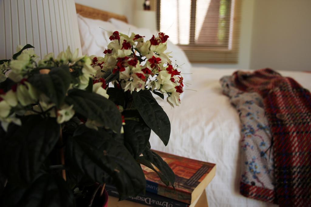 Bed and Breakfast A Casa Da Arvore à Vila Nova de Milfontes Chambre photo