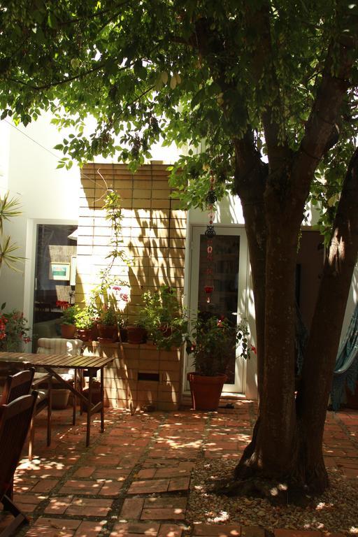 Bed and Breakfast A Casa Da Arvore à Vila Nova de Milfontes Extérieur photo